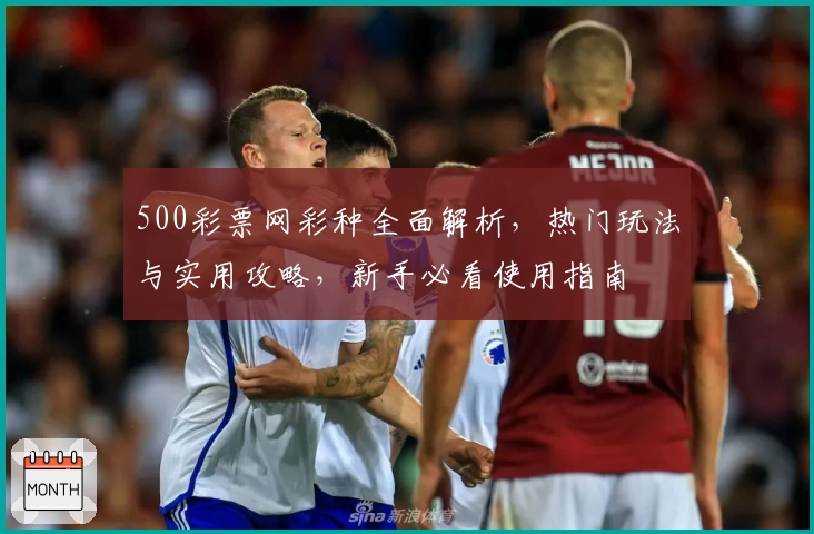 500彩票网彩种全面解析，热门玩法与实用攻略，新手必看使用指南