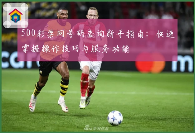 500彩票网号码查询新手指南：快速掌握操作技巧与服务功能