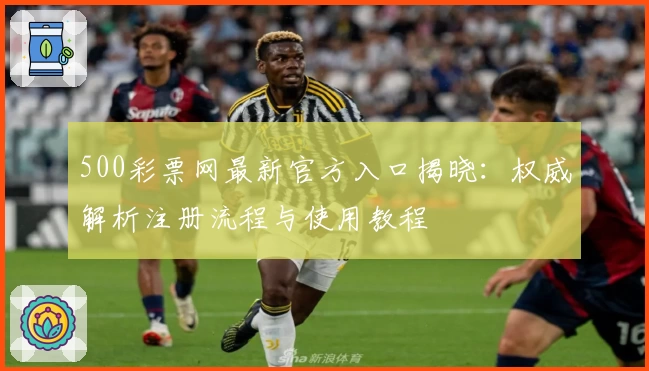 500彩票网最新官方入口揭晓：权威解析注册流程与使用教程