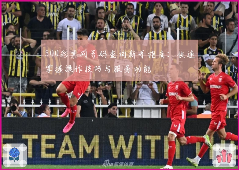 500彩票网号码查询新手指南：快速掌握操作技巧与服务功能