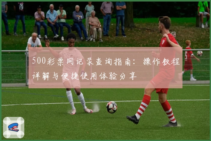 500彩票网记录查询指南：操作教程详解与便捷使用体验分享