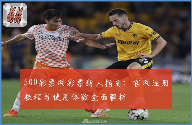 500彩票网彩票新人指南：官网注册教程与使用体验全面解析