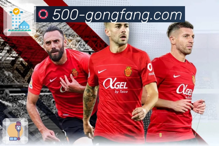 体育平台欢迎图